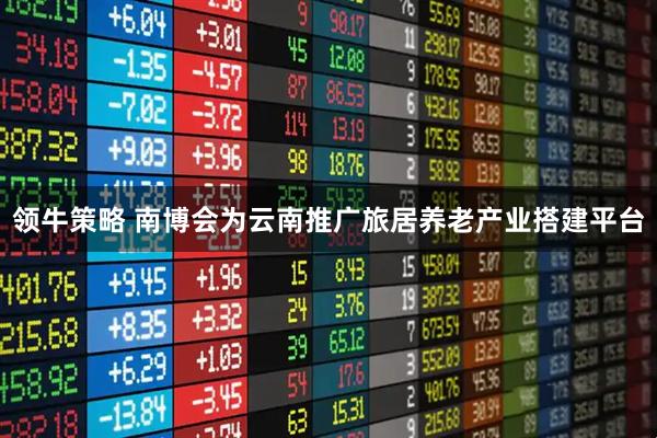 领牛策略 南博会为云南推广旅居养老产业搭建平台