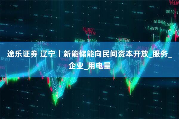 途乐证券 辽宁丨新能储能向民间资本开放_服务_企业_用电量