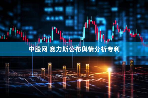 中股网 赛力斯公布舆情分析专利