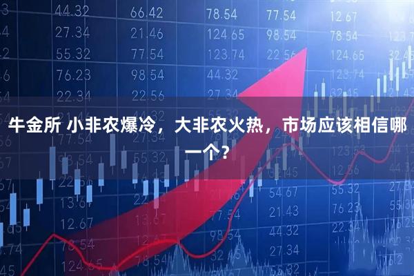 牛金所 小非农爆冷，大非农火热，市场应该相信哪一个？