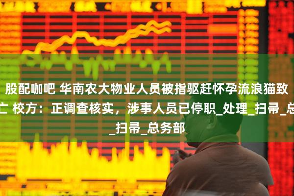 股配咖吧 华南农大物业人员被指驱赶怀孕流浪猫致其死亡 校方：正调查核实，涉事人员已停职_处理_扫帚_总务部