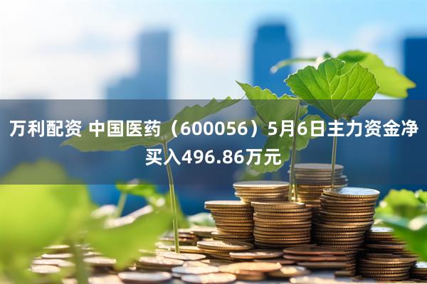 万利配资 中国医药（600056）5月6日主力资金净买入496.86万元